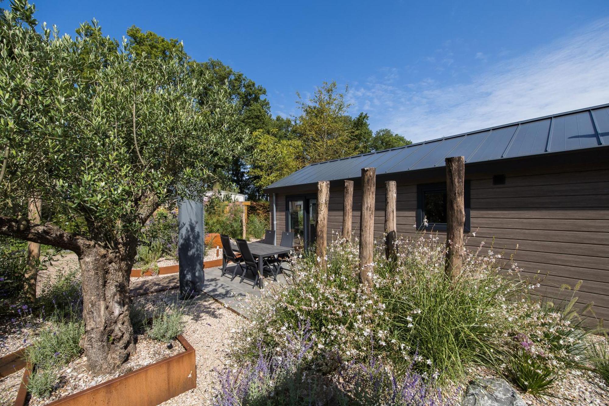 Modern Ingericht Chalet Op Groen Park Op De Veluwe Epe Ngoại thất bức ảnh