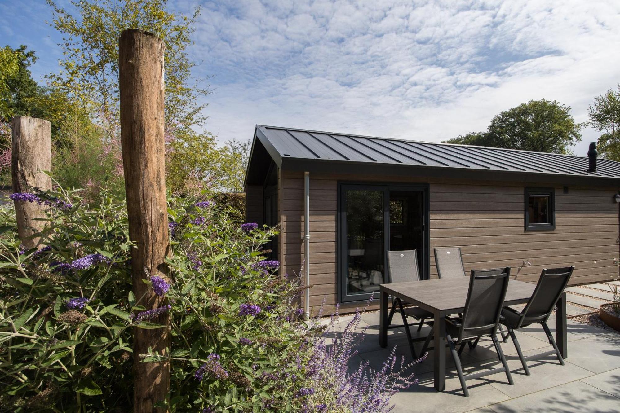 Modern Ingericht Chalet Op Groen Park Op De Veluwe Epe Ngoại thất bức ảnh